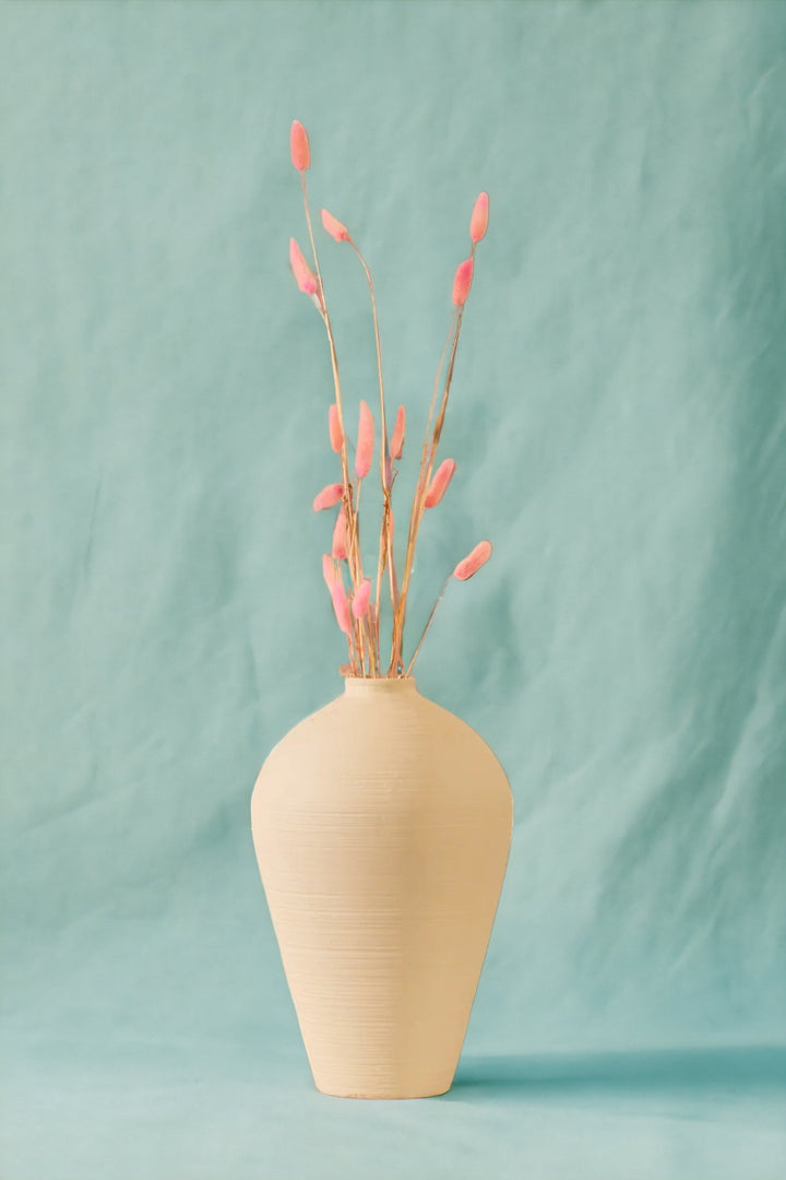 Lagurus - Set of 10 Stems