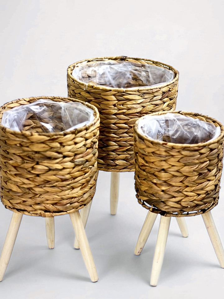 The Jute Trio