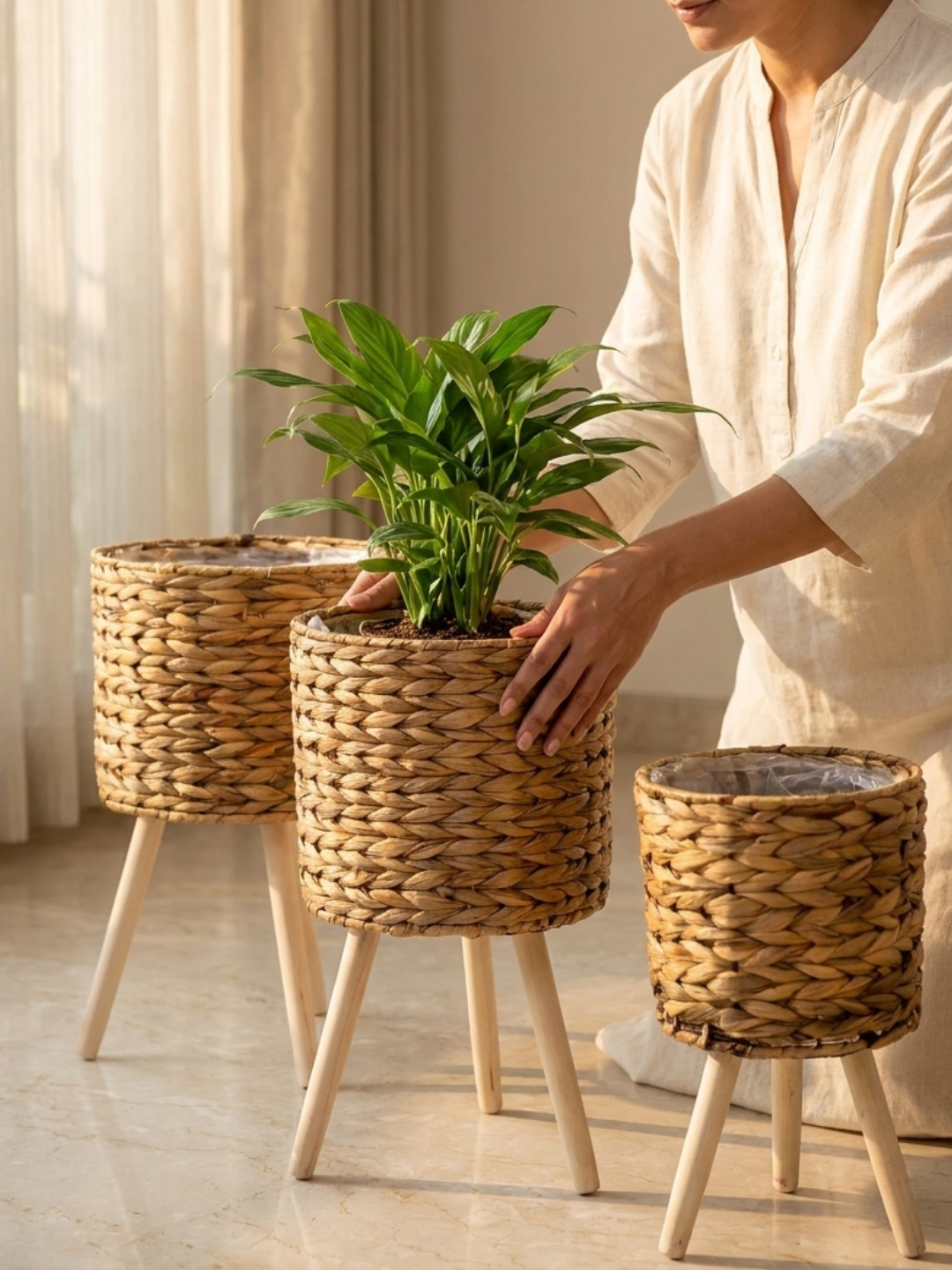 The Jute Trio