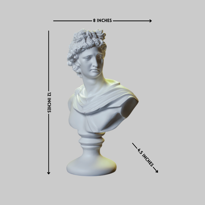 Classic Apollo Bust Resin Sculpture