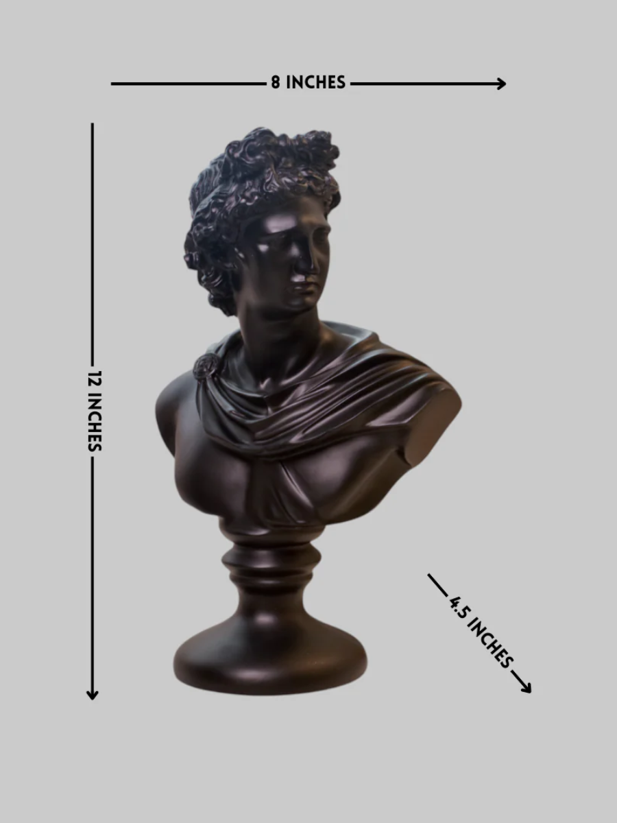 Classic Apollo Bust Resin Sculpture