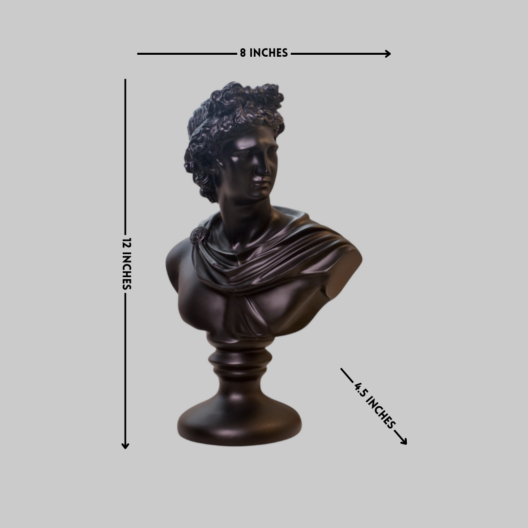 Classic Apollo Bust Resin Sculpture