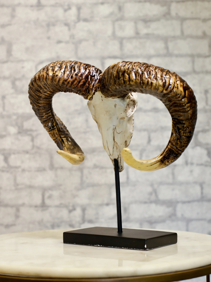 Ram Skull Resin Decor