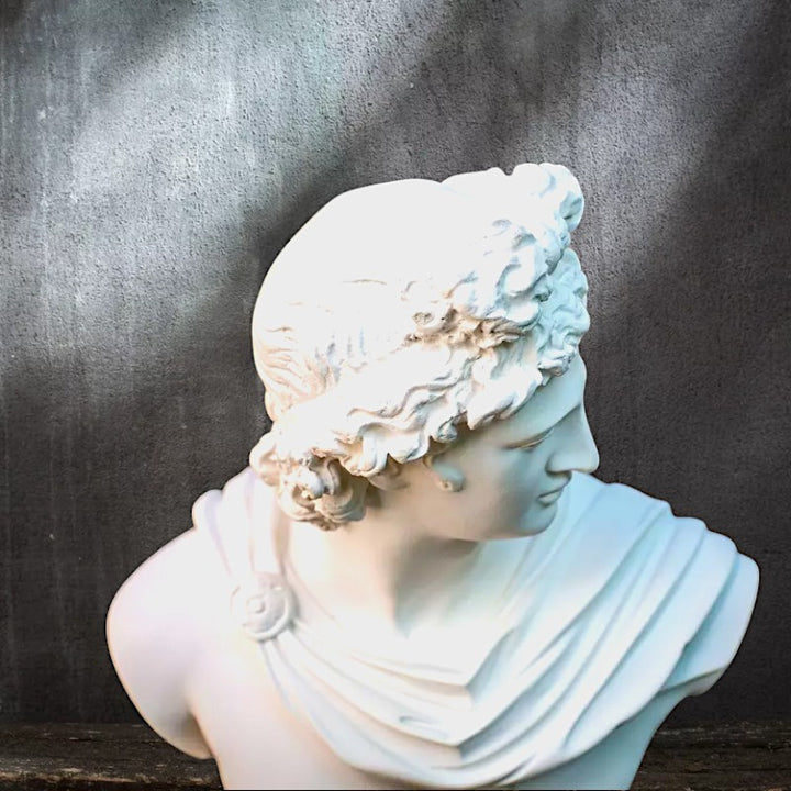 Classic Apollo Bust Resin Sculpture