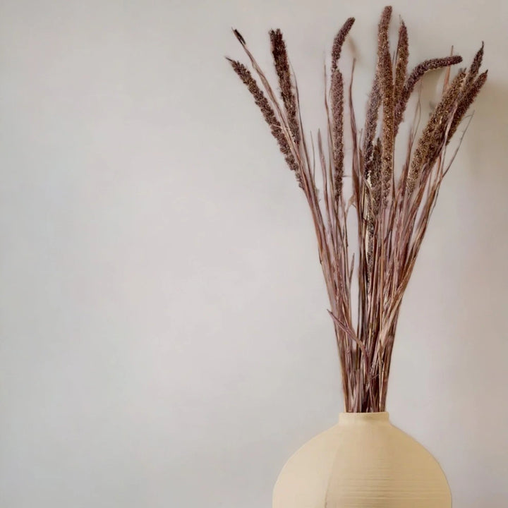 Dried Millet - Set of 20 Stems