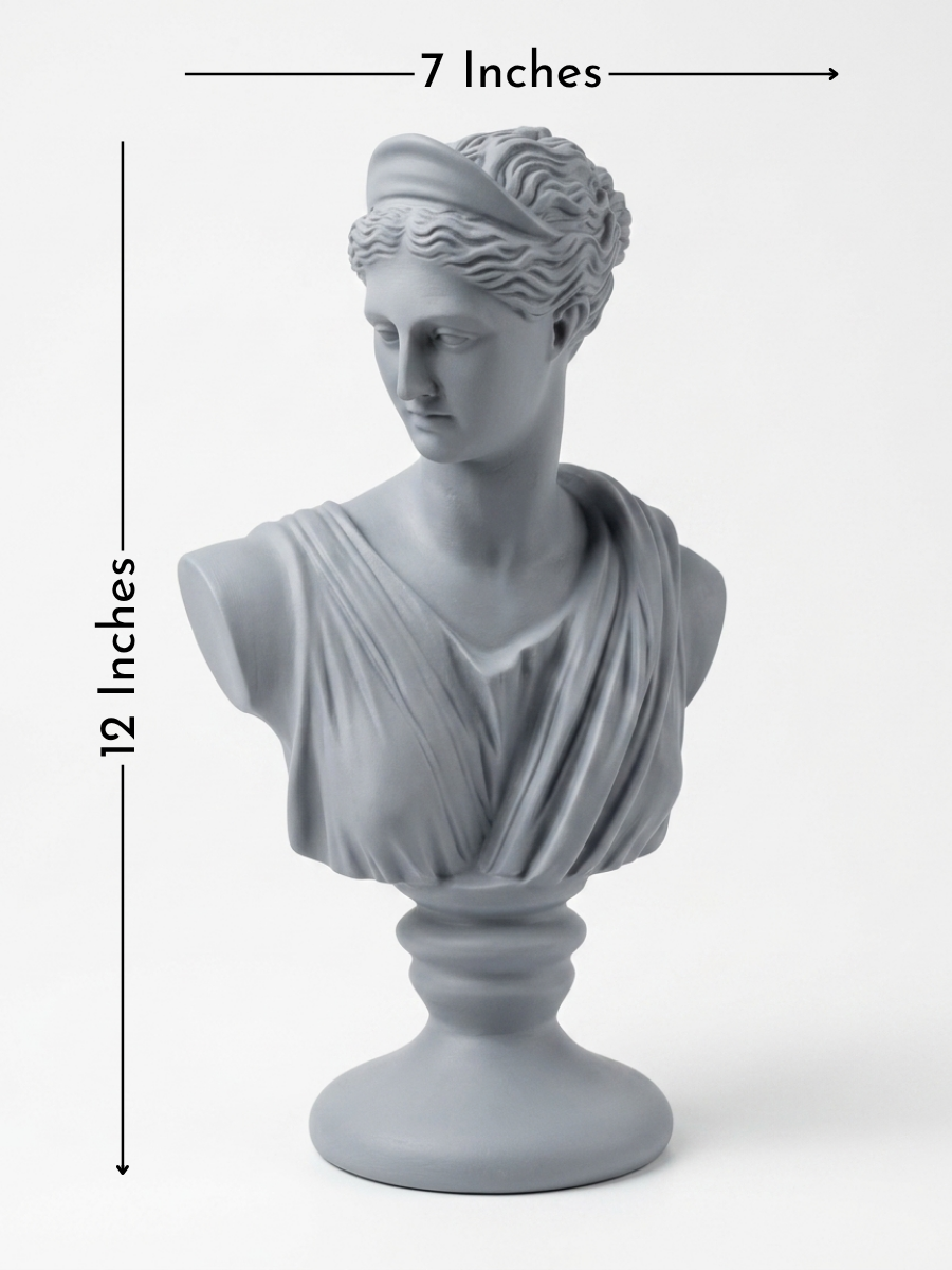 Size Reference