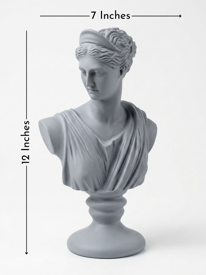 Size Reference