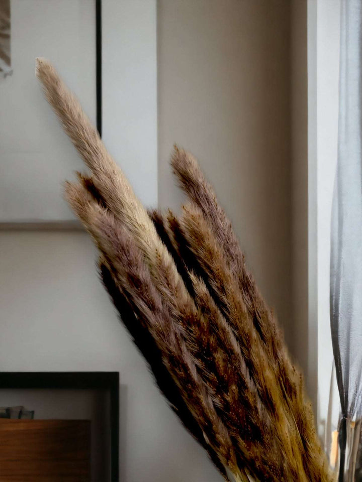 Dried Foxtail Grass - Set of 15 Stems