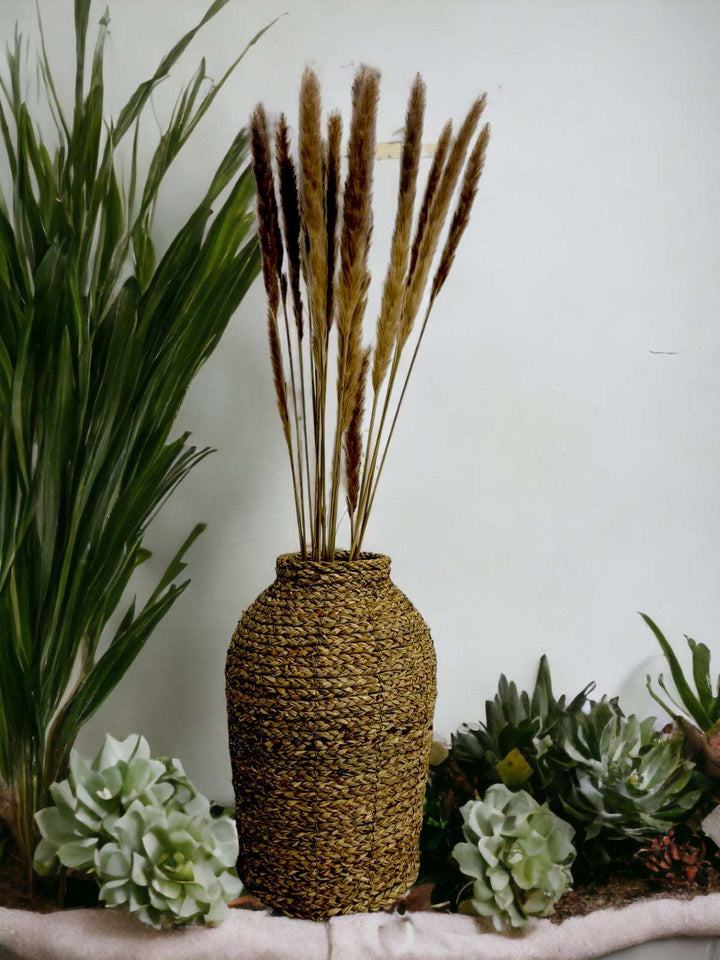 Dried Foxtail Grass - Set of 15 Stems