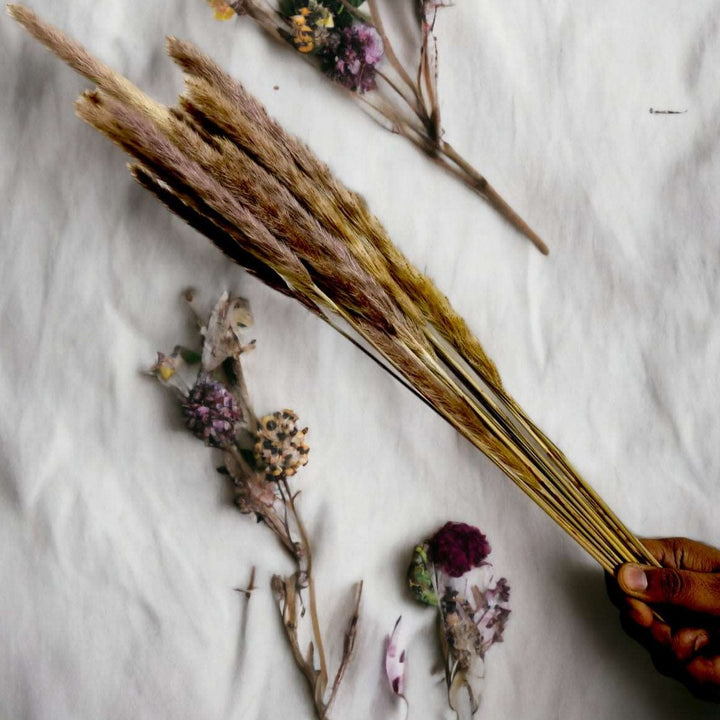 Dried Foxtail Grass - Set of 15 Stems