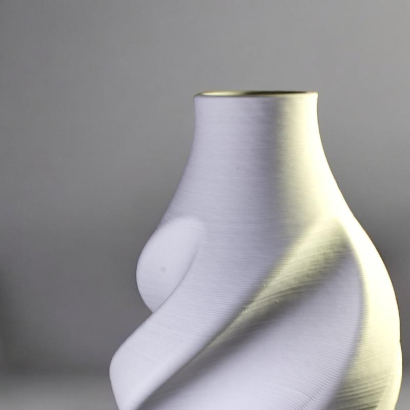 Luxury 3D Printed Twisting Vase