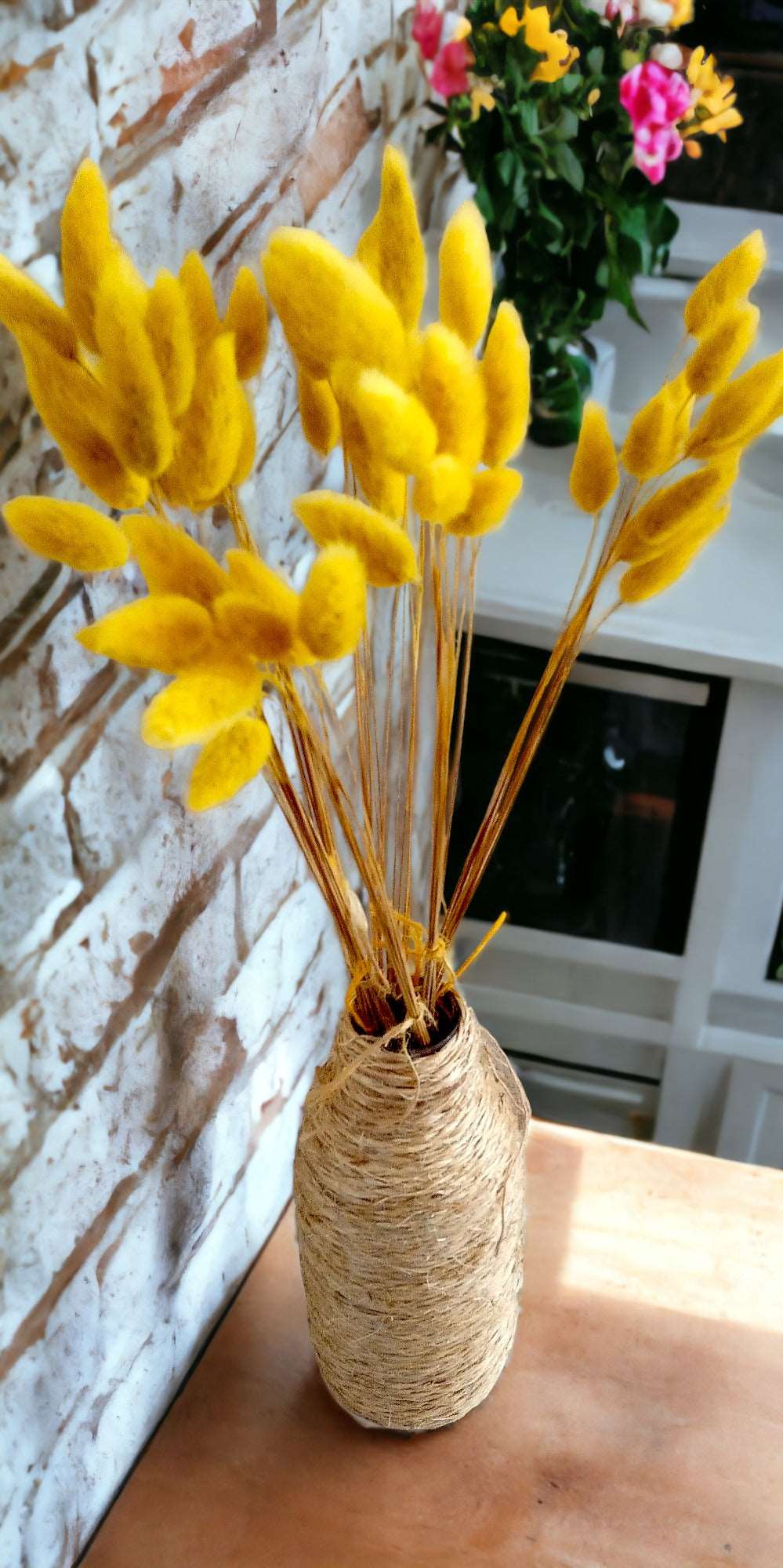 Lagurus - Set of 15 Stems