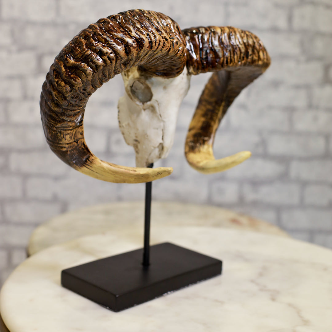 Ram Skull Resin Decor