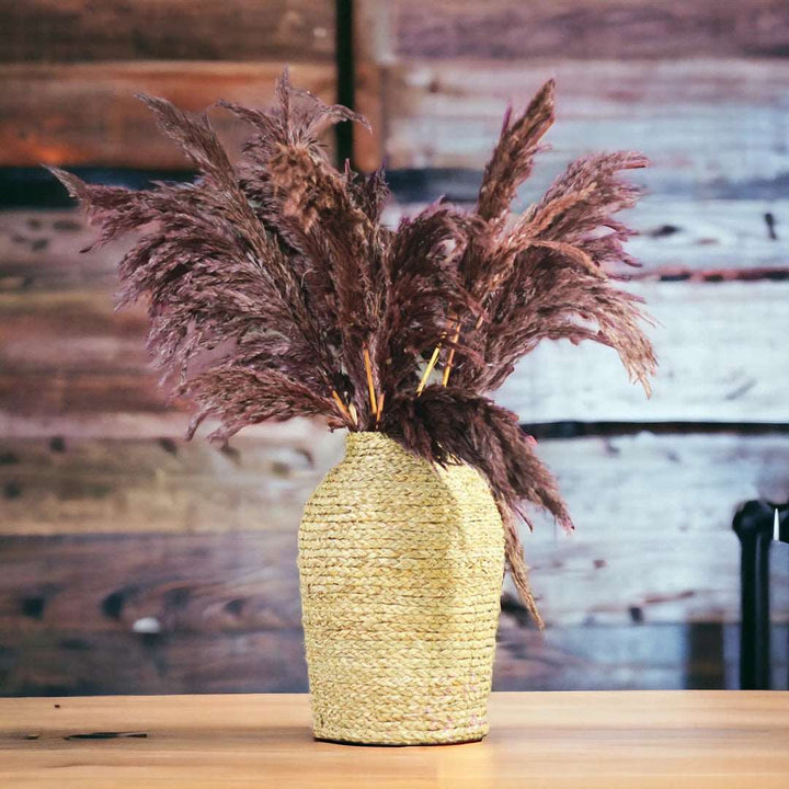 Pampas - Set of 10 stems