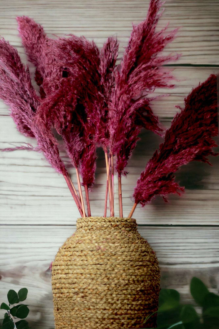 Pampas - Set of 10 stems