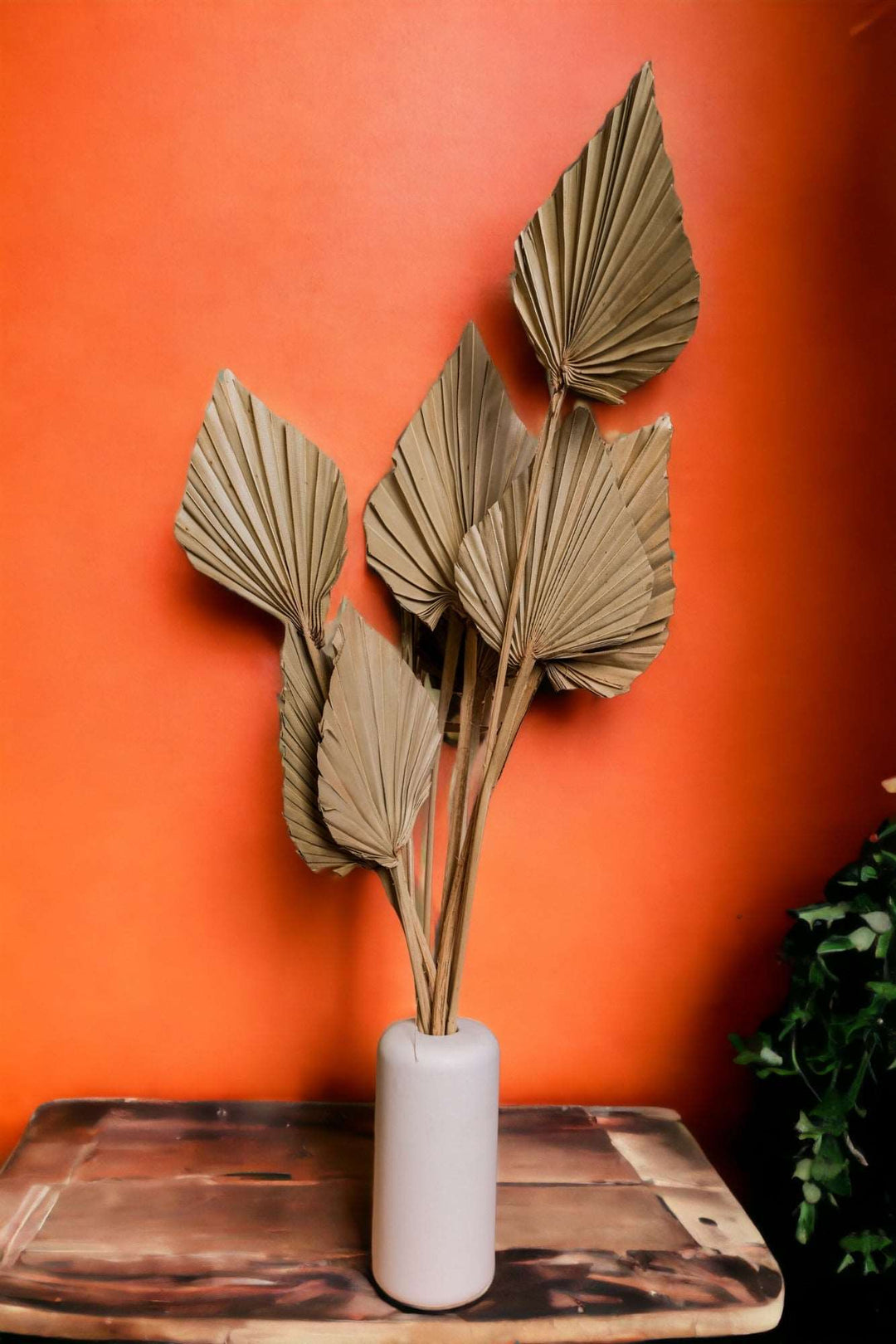 Palm Spear Small - Set of 5 Stems